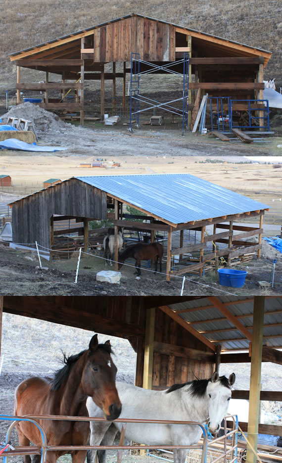 Epic Barn Project today with Horses