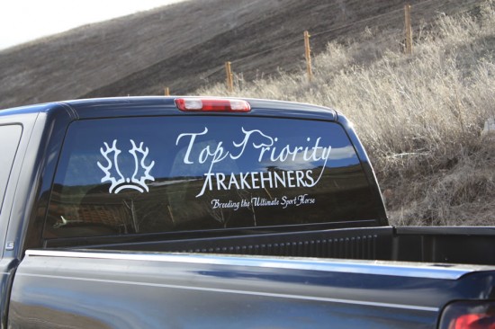 Trakehner Logo Truck