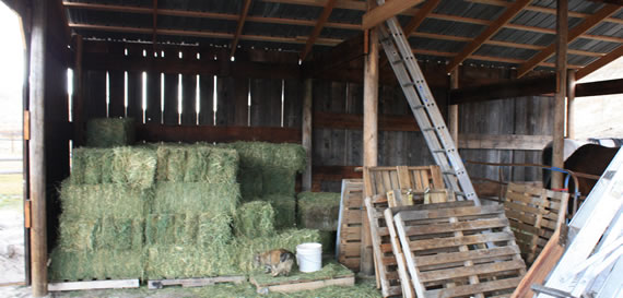 hay Epic Barn