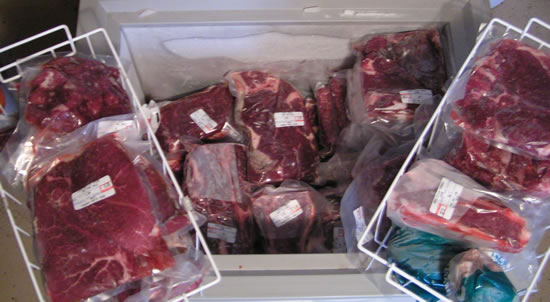 Freezer full of cow