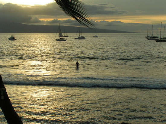 Maui Sunset