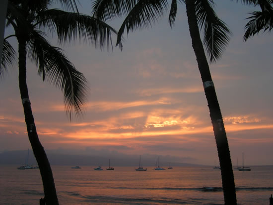 Maui Sunset