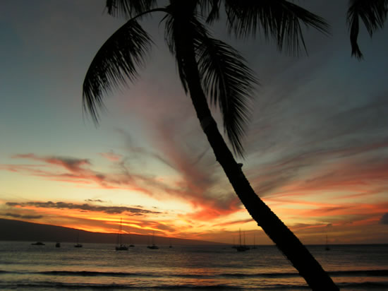 Maui Sunset