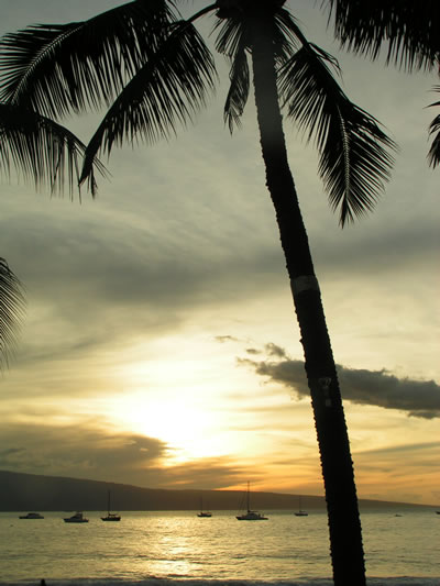 Maui Sunset