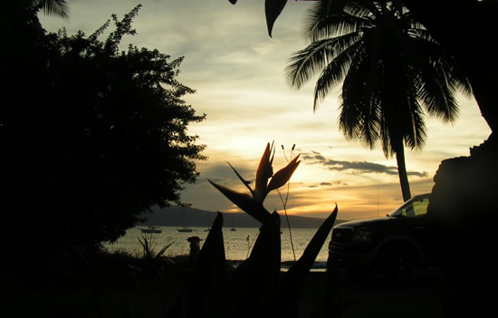 Maui Sunset