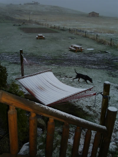 Rosco, Snow and our Neighbors!