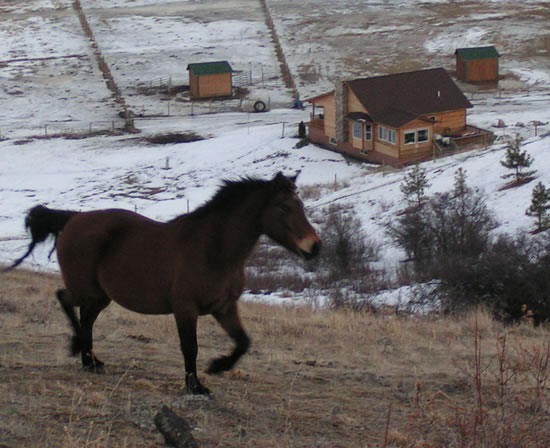 Ashton Anna Home and Montana Mountains