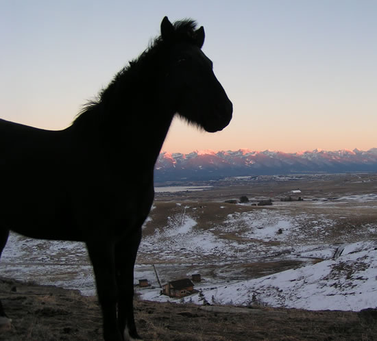 Ashton Anna Home and Montana Mountains