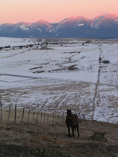 Ashton Anna Home and Montana Mountains