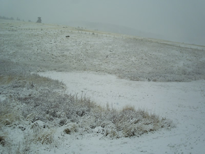 Snow outside my office.